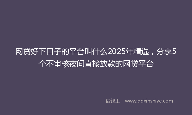 网贷好下口子的平台叫什么2025年精选，分享5个不审核夜间直接放款的网贷平台
