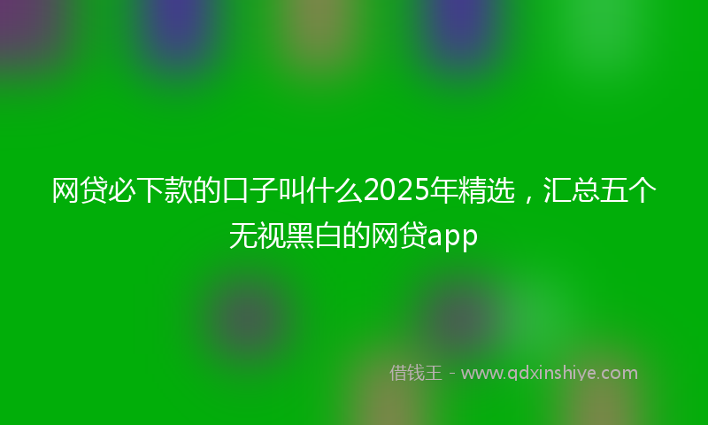 网贷必下款的口子叫什么2025年精选，汇总五个无视黑白的网贷app