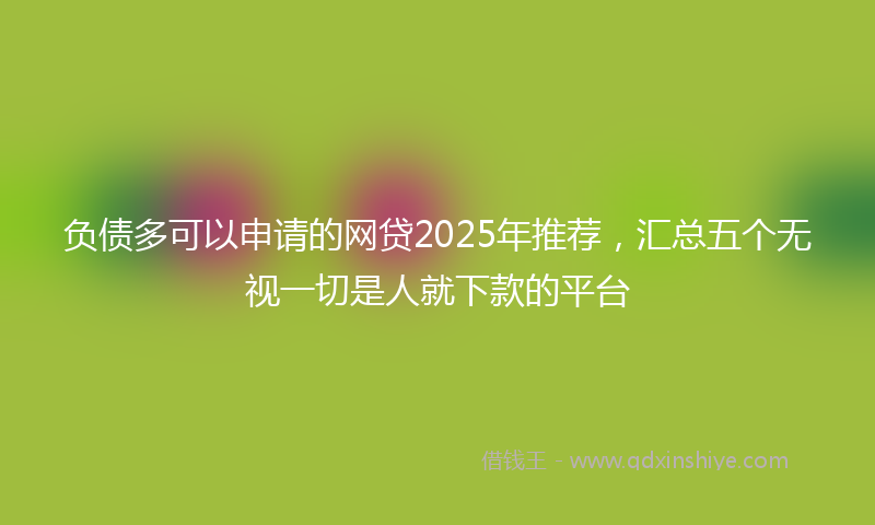 负债多可以申请的网贷2025年推荐，汇总五个无视一切是人就下款的平台