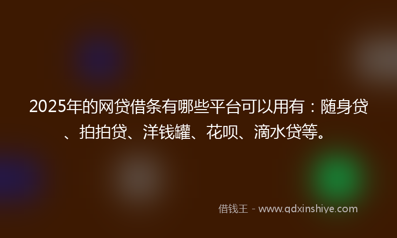 2025年的网贷借条有哪些平台可以用有：随身贷、拍拍贷、洋钱罐、花呗、滴水贷等。
