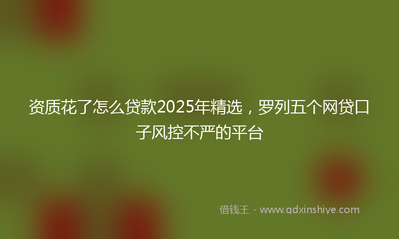 资质花了怎么贷款2025年精选，罗列五个网贷口子风控不严的平台
