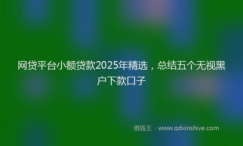 网贷平台小额贷款2025年精选，总结五个无视黑户下款口子