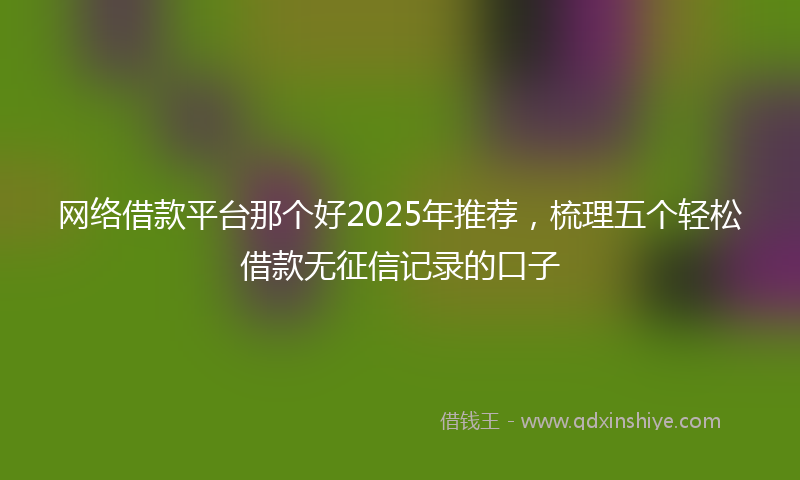 网络借款平台那个好2025年推荐，梳理五个轻松借款无征信记录的口子