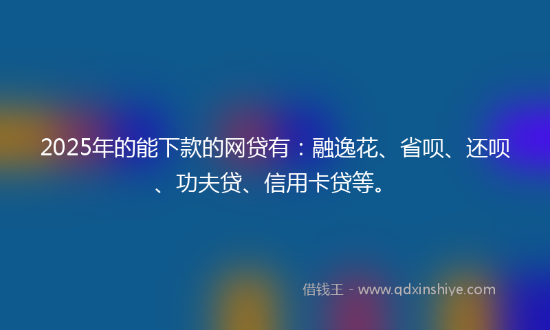 2025年的能下款的网贷有：融逸花、省呗、还呗、功夫贷、信用卡贷等。