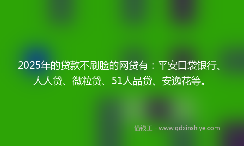 2025年的贷款不刷脸的网贷有：平安口袋银行、人人贷、微粒贷、51人品贷、安逸花等。