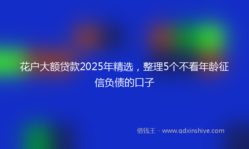 花户大额贷款2025年精选，整理5个不看年龄征信负债的口子