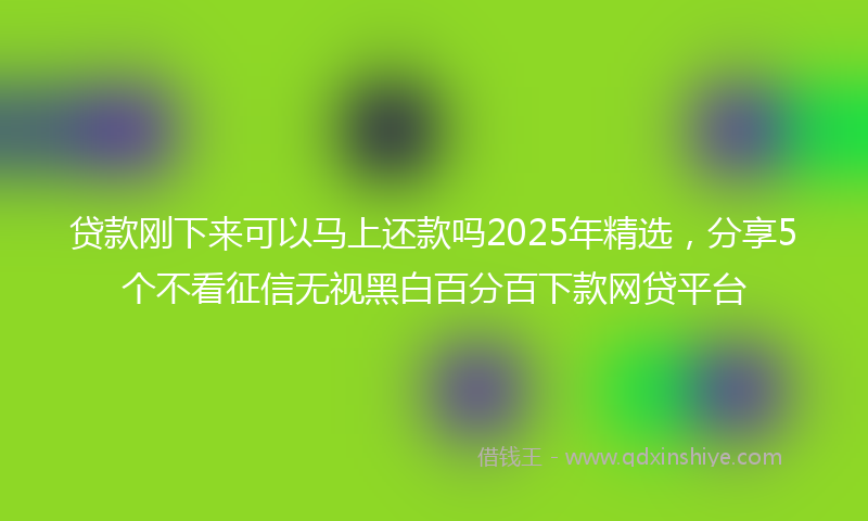 贷款刚下来可以马上还款吗2025年精选，分享5个不看征信无视黑白百分百下款网贷平台