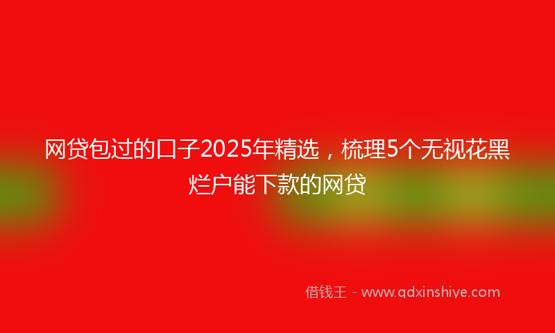 网贷包过的口子2025年精选，梳理5个无视花黑烂户能下款的网贷