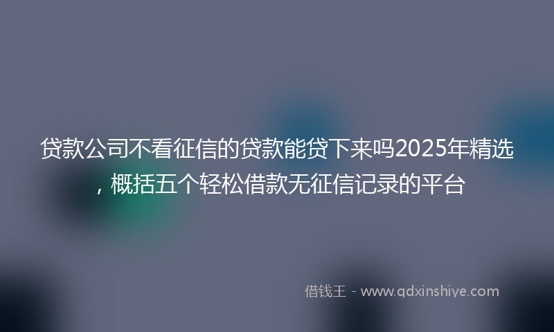 贷款公司不看征信的贷款能贷下来吗2025年精选，概括五个轻松借款无征信记录的平台