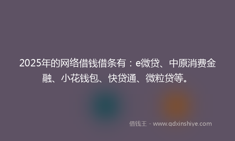 2025年的网络借钱借条有：e微贷、中原消费金融、小花钱包、快贷通、微粒贷等。
