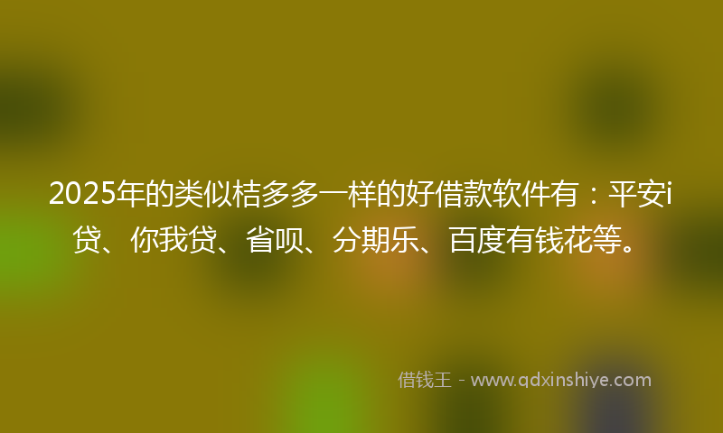 2025年的类似桔多多一样的好借款软件有：平安i贷、你我贷、省呗、分期乐、百度有钱花等。