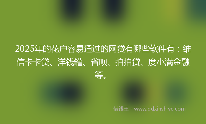 2025年的花户容易通过的网贷有哪些软件有：维信卡卡贷、洋钱罐、省呗、拍拍贷、度小满金融等。