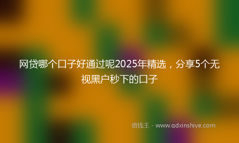 网贷哪个口子好通过呢2025年精选，分享5个无视黑户秒下的口子