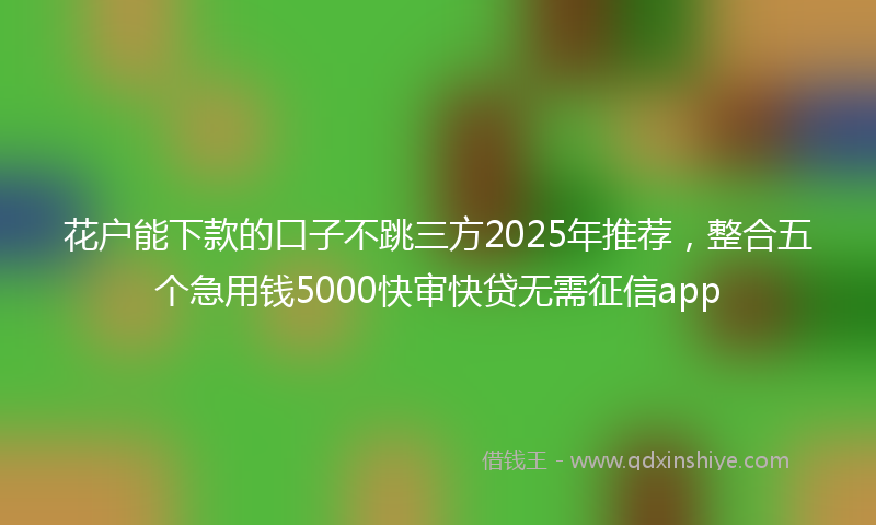 花户能下款的口子不跳三方2025年推荐，整合五个急用钱5000快审快贷无需征信app