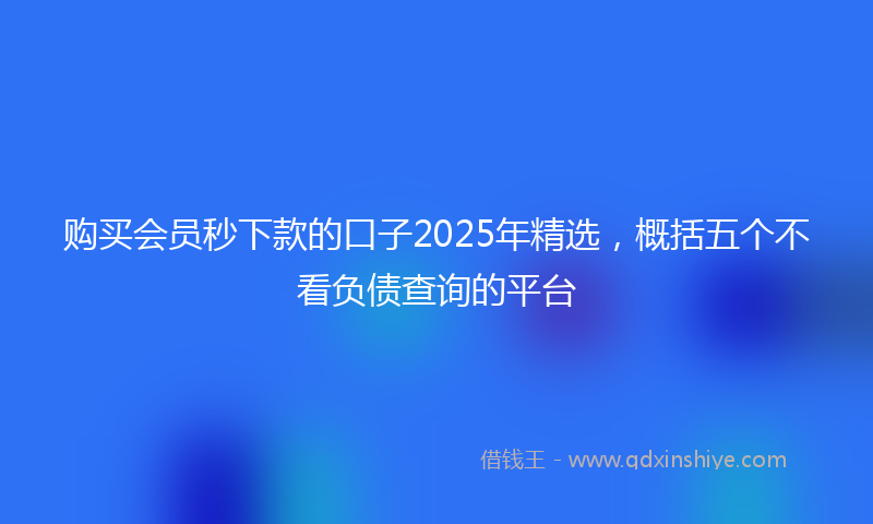 购买会员秒下款的口子2025年精选，概括五个不看负债查询的平台