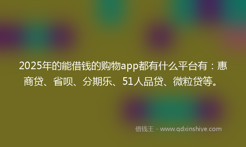2025年的能借钱的购物app都有什么平台有：惠商贷、省呗、分期乐、51人品贷、微粒贷等。