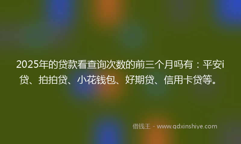 2025年的贷款看查询次数的前三个月吗有：平安i贷、拍拍贷、小花钱包、好期贷、信用卡贷等。