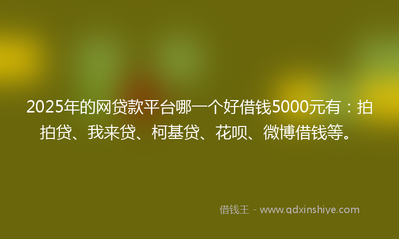 2025年的网贷款平台哪一个好借钱5000元有：拍拍贷、我来贷、柯基贷、花呗、微博借钱等。