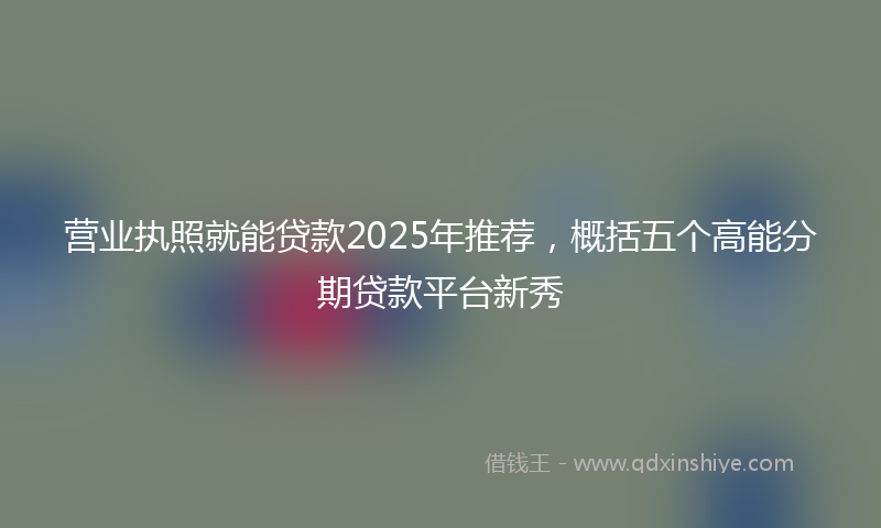 营业执照就能贷款2025年推荐，概括五个高能分期贷款平台新秀