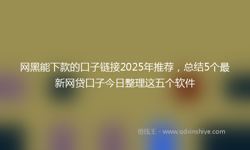 网黑能下款的口子链接2025年推荐，总结5个最新网贷口子今日整理这五个软件