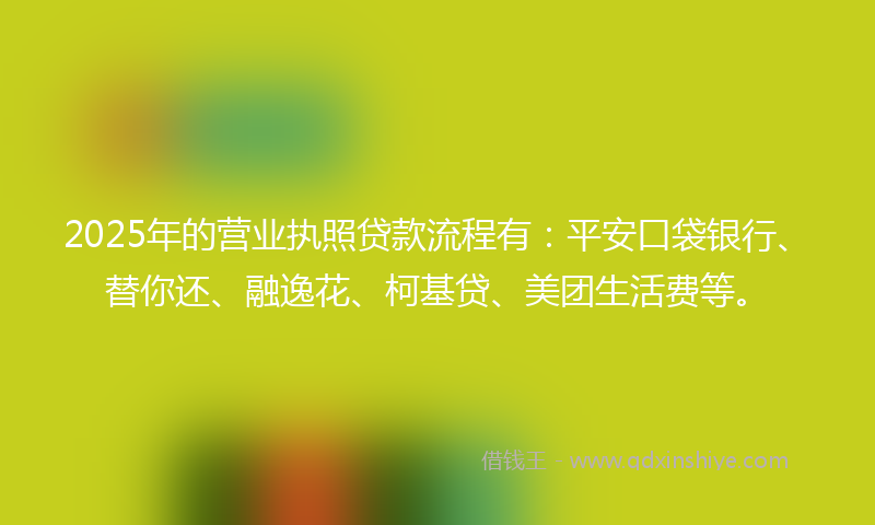 2025年的营业执照贷款流程有：平安口袋银行、替你还、融逸花、柯基贷、美团生活费等。