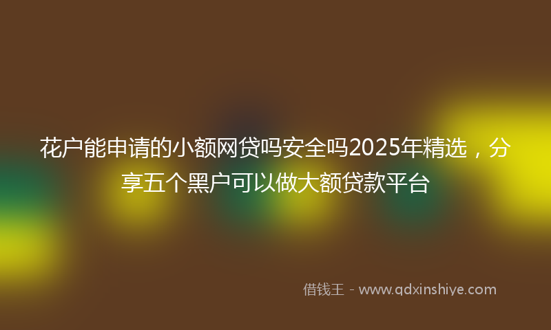 花户能申请的小额网贷吗安全吗2025年精选,分享五个黑户可以做大额贷款平台