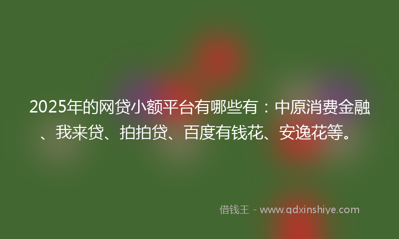 2025年的网贷小额平台有哪些有：中原消费金融、我来贷、拍拍贷、百度有钱花、安逸花等。