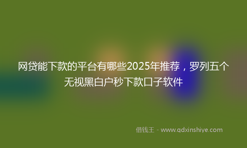 网贷能下款的平台有哪些2025年推荐，罗列五个无视黑白户秒下款口子软件