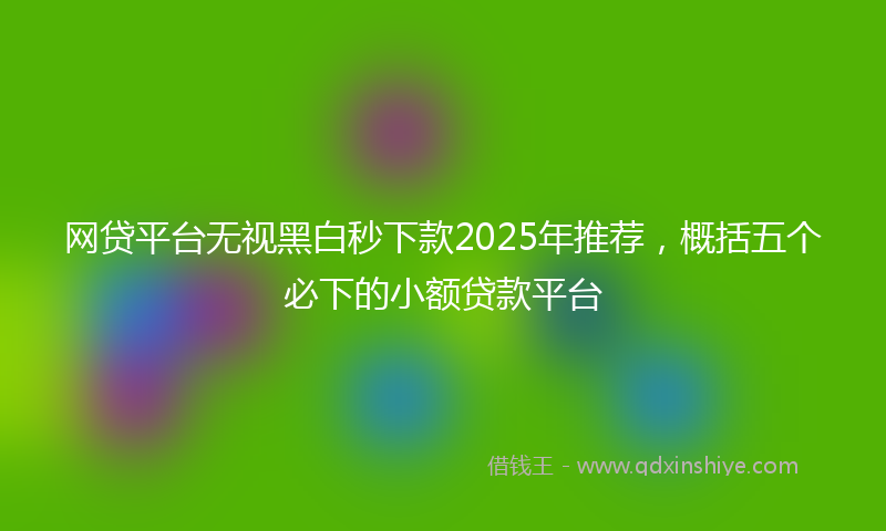 网贷平台无视黑白秒下款2025年推荐，概括五个必下的小额贷款平台