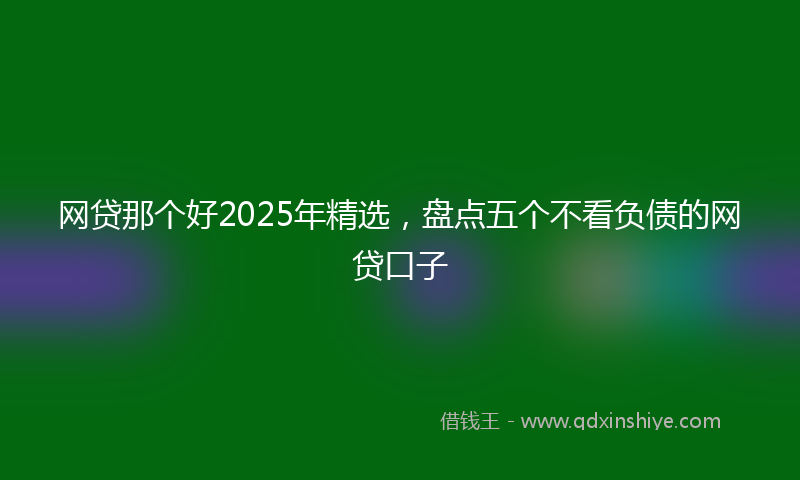网贷那个好2025年精选，盘点五个不看负债的网贷口子