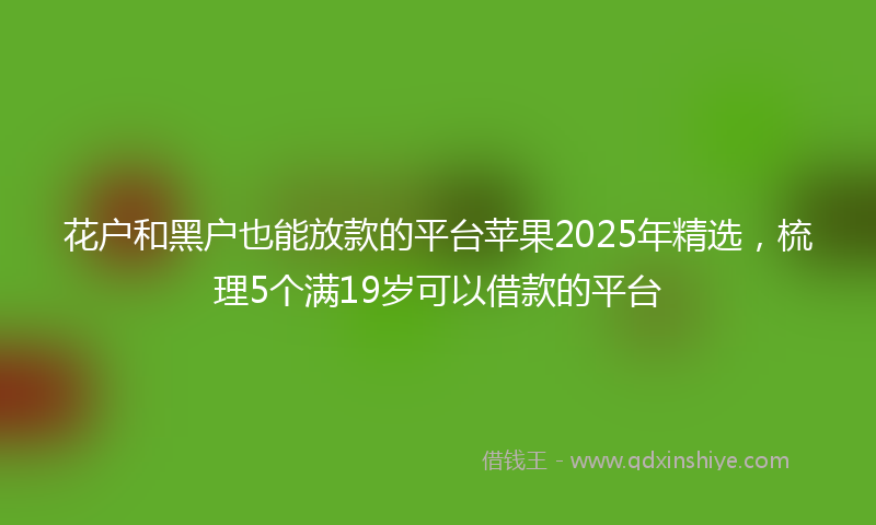 花户和黑户也能放款的平台苹果2025年精选，梳理5个满19岁可以借款的平台