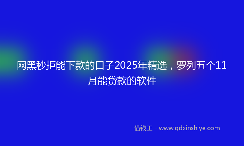 网黑秒拒能下款的口子2025年精选，罗列五个11月能贷款的软件