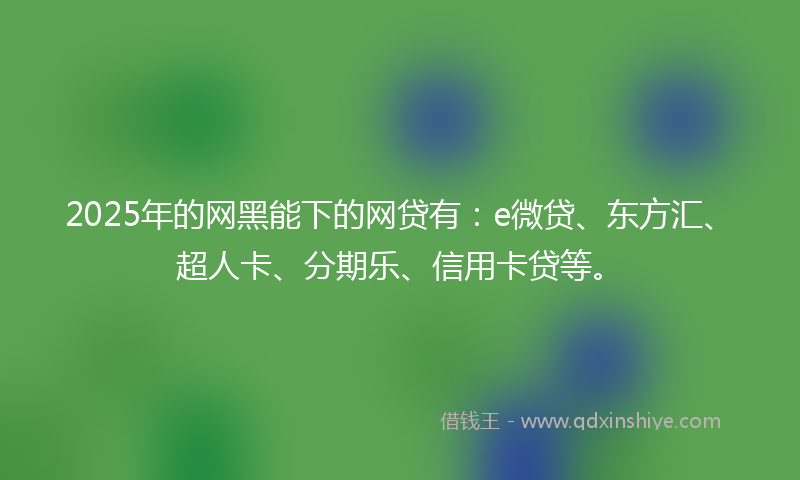 2025年的网黑能下的网贷有：e微贷、东方汇、超人卡、分期乐、信用卡贷等。
