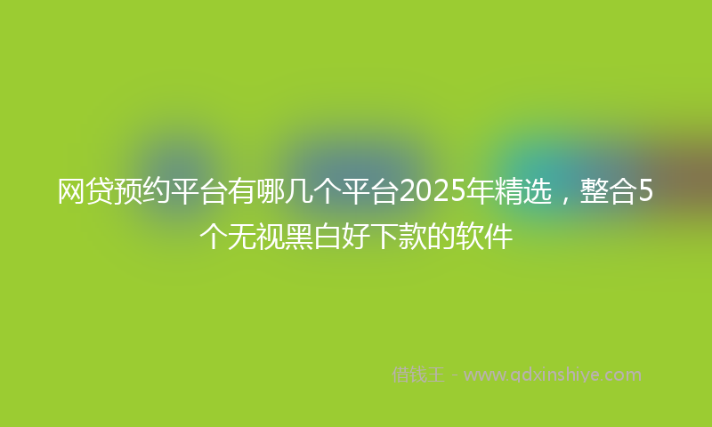 网贷预约平台有哪几个平台2025年精选，整合5个无视黑白好下款的软件