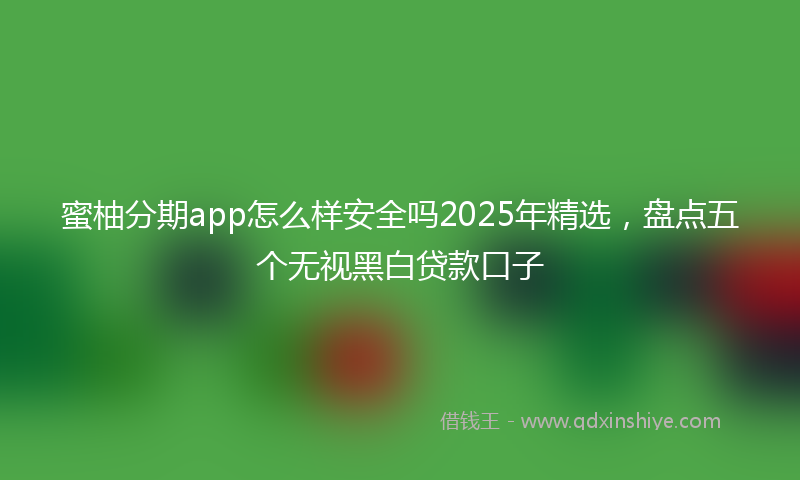 蜜柚分期app怎么样安全吗2025年精选，盘点五个无视黑白贷款口子