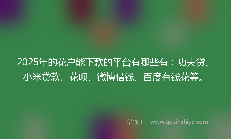 2025年的花户能下款的平台有哪些有：功夫贷、小米贷款、花呗、微博借钱、百度有钱花等。