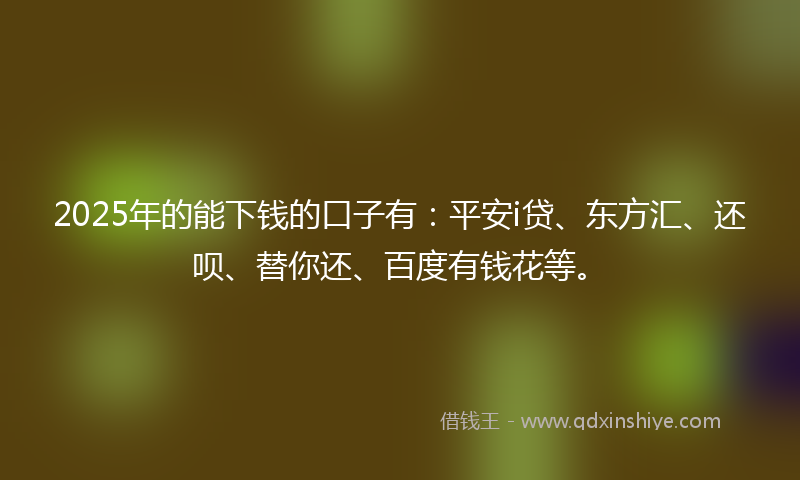 2025年的能下钱的口子有：平安i贷、东方汇、还呗、替你还、百度有钱花等。