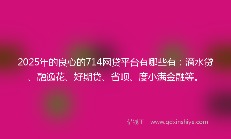2025年的良心的714网贷平台有哪些有：滴水贷、融逸花、好期贷、省呗、度小满金融等。