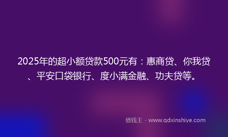 2025年的超小额贷款500元有：惠商贷、你我贷、平安口袋银行、度小满金融、功夫贷等。