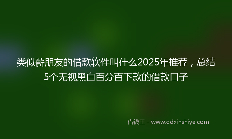 类似薪朋友的借款软件叫什么2025年推荐，总结5个无视黑白百分百下款的借款口子
