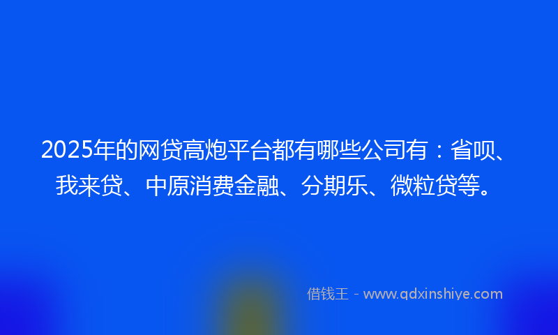 2025年的网贷高炮平台都有哪些公司有：省呗、我来贷、中原消费金融、分期乐、微粒贷等。