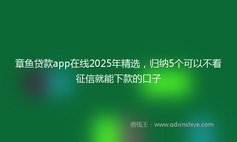章鱼贷款app在线2025年精选，归纳5个可以不看征信就能下款的口子
