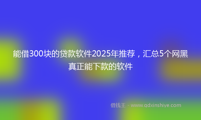 能借300块的贷款软件2025年推荐，汇总5个网黑真正能下款的软件