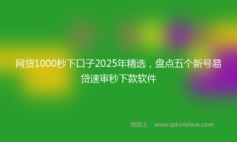 网贷1000秒下口子2025年精选，盘点五个新号易贷速审秒下款软件