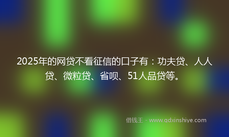 2025年的网贷不看征信的口子有：功夫贷、人人贷、微粒贷、省呗、51人品贷等。