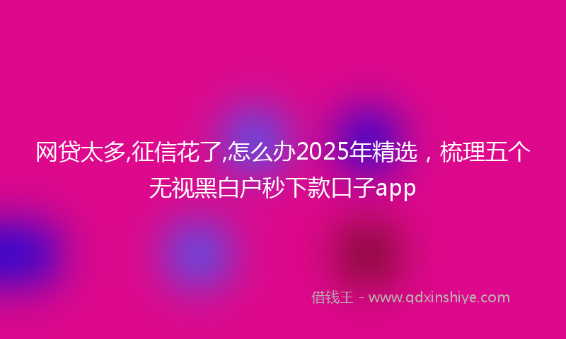 网贷太多,征信花了,怎么办2025年精选，梳理五个无视黑白户秒下款口子app