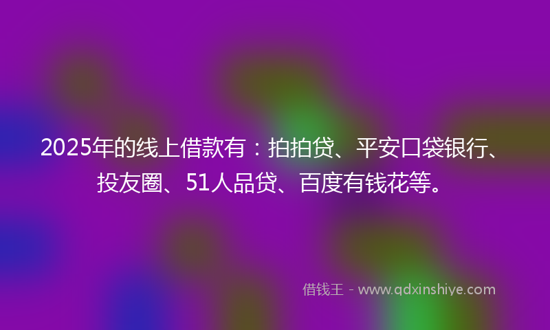 2025年的线上借款有：拍拍贷、平安口袋银行、投友圈、51人品贷、百度有钱花等。