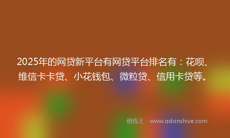 2025年的网贷新平台有网贷平台排名有：花呗、维信卡卡贷、小花钱包、微粒贷、信用卡贷等。