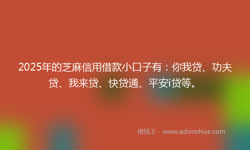 2025年的芝麻信用借款小口子有：你我贷、功夫贷、我来贷、快贷通、平安i贷等。