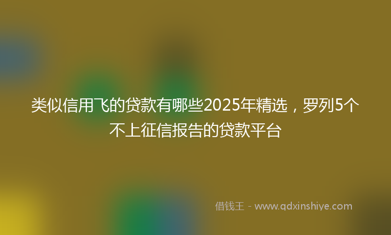 类似信用飞的贷款有哪些2025年精选，罗列5个不上征信报告的贷款平台